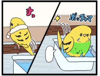 カチョさん、やっぱり変な水浴び