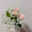 今週の花