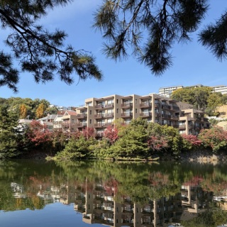 Mikageマダムの夕食レシピ