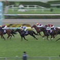【競馬】ママコチャが引退　繁殖入り