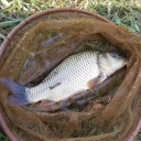 ���������Ť�ʪ���ݤ��ä��Ȼפä���.....�����٤ϥ���(��)