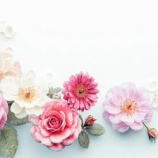 『その時そばに人がいるかどうかも運』の画像