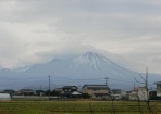 雲雀と鶯