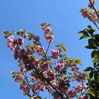    のぶちゃんのぴくにっく～♪(●^o^●)