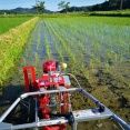 おやじの田んぼ（６月１７日 ブラシ除草機３回目実施）