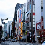 さえひろでいず