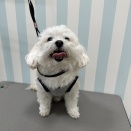 マルチワのケンタくん🍏