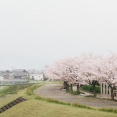 嫁の出産後、俺が浮気相手を妊娠させてしまった。嫁「ﾀﾋんでも離婚しない」→その後、浮気相手が子供を置いて失踪。子供を育てて数年後に浮気相手が現れて…