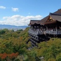 未だ死んでません。