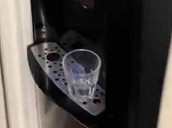 【ネコ】 私がウォーターサーバーの水を飲もうとする。１杯、お願いします → 毛玉のバーテンダーはこうします…