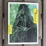 ���ܤ�é�벰������ֿ夬ή��Ƥ���: ������Τ��Τ��ο�����׻������ʡ�ʸ�ͻ��������̼̿��͡٤β���