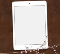 【最大70％OFF】「Kindle本 春のビッグセール」のすばる舎分をお送りします！