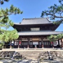 京都「萬福寺」黄檗宗総本山はチャイナの直系 中国仏教建築は日本で見よう EP1138