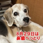 ガオだらけな日々　