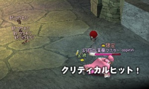 不具合の深刻な部分は修正されたようだが、依然としてモンスターが瞬間移動して見える幻惑の演奏
