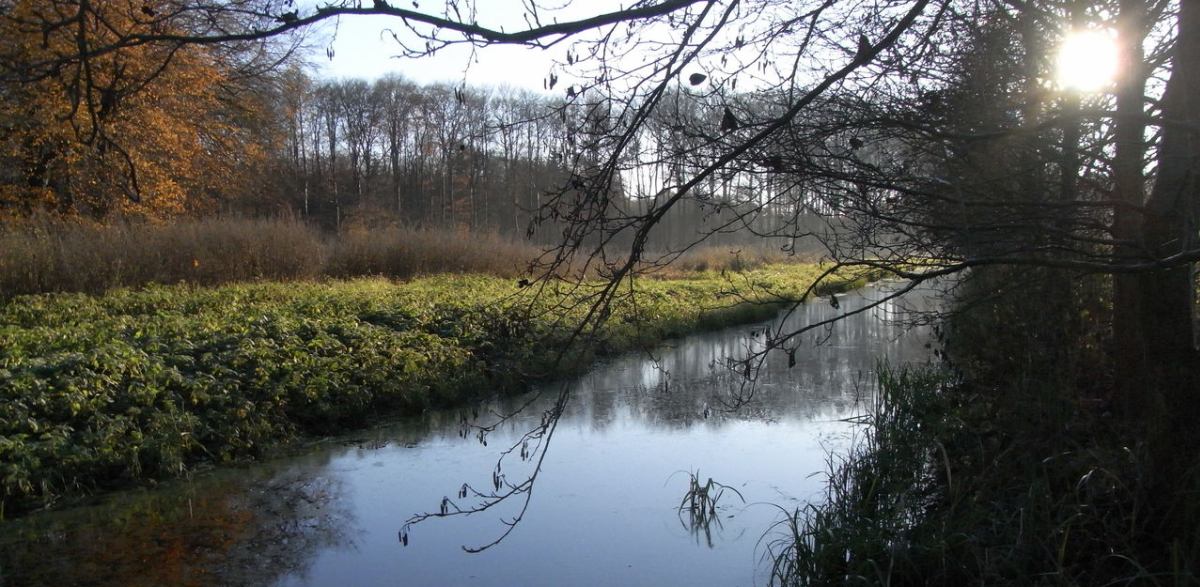 ライラとマジュヌーン warabi's tagebuch