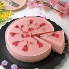 春のお楽しみ♪桜のレアチーズケーキ！