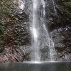 いはちのCP（ちゃらんぽらん）倶楽部