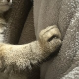 活用してもらえてうれしい