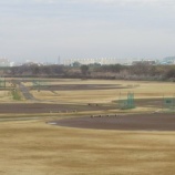 『17日は午前中まで雨が降りました』の画像