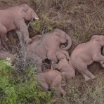 生物プラネット