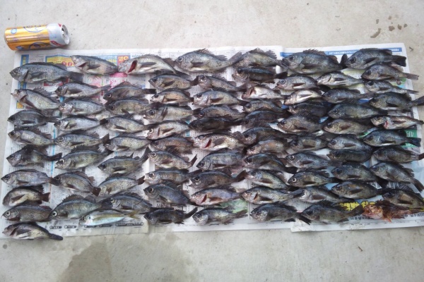 スモールボート釣りクイズ 絵浜sbfp