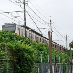 Trains  and  Flight