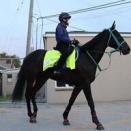 【期待】日本馬ラッキー7きたｗｗケンタッキー制覇あるか