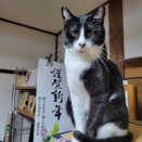 🎍謹賀新年🐹2026🎍