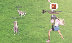 枕を持ってカウンター