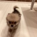 ワンラブミナーラ奈良店🐶✨