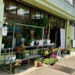 かなざわ速報 - 石川県金沢市の地域情報サイト