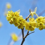 #俳句　日記俳句を楽しむ会