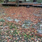 かえるのひとりごと