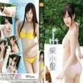 このなの夏休み 柴小聖
