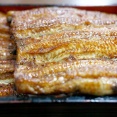うなぎ初めて食ったんだが