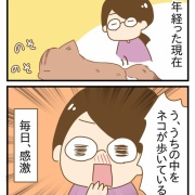 猫と5年暮らして思うこと