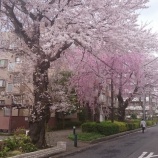 『今、待っているもの』の画像