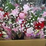 デイサービスセンター  フラワーヒルのBlog