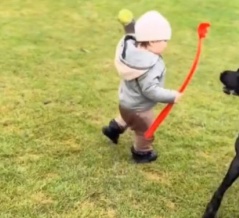 「消えた!?」ボール遊びをしていた犬と赤ちゃんが…完全に見失う