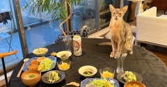 だんなさまごはんの、ヒレカツ定食の夜ごはん