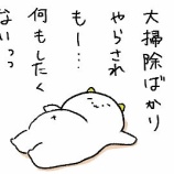 『盆栽用ビニールハウスを作ろうと思っただけの日』の画像