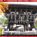 アートの旅2026秋号(6)～善峯寺案内／京都国際芸術協会