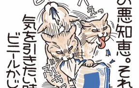 悪知恵