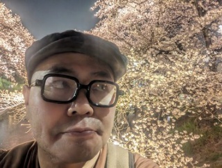 五条川の千本桜 愛知県 岩倉市の桜まつり 川沿いをぐるっと回って夜桜まで楽しんできました。