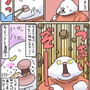 松本移住日誌#11_30
