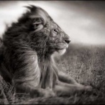 【ビジョン：理想・夢望・念志】を抱け！　　　　　　　　　　【ミッション：大義・使命・天職】に導く　　　　　　　　　　【神の愛＝主イエス・聖霊】！！