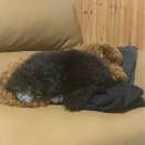 2026年４月10日の市況とトレード