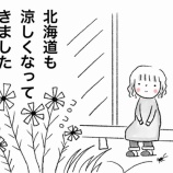 『迷い込んできたやつ』の画像