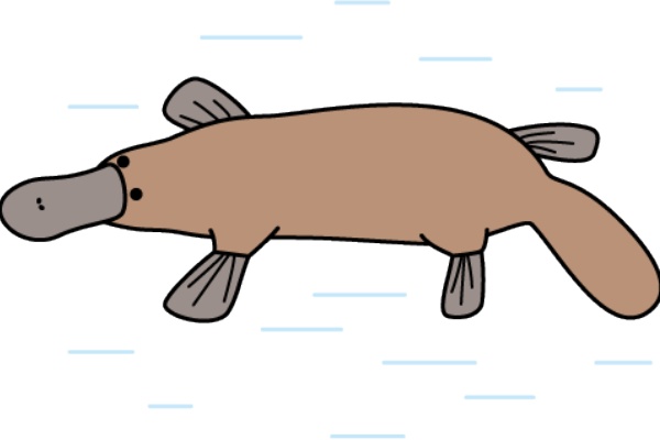 幼稚園児のイラスト 絵カード カモノハシのイラスト 絵カード